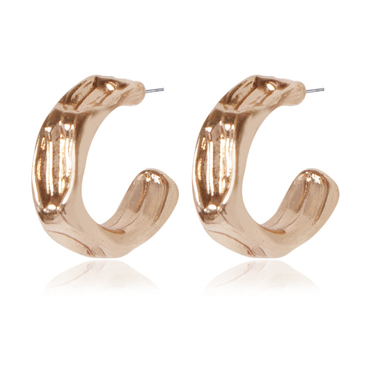Fluid Shape Earrings